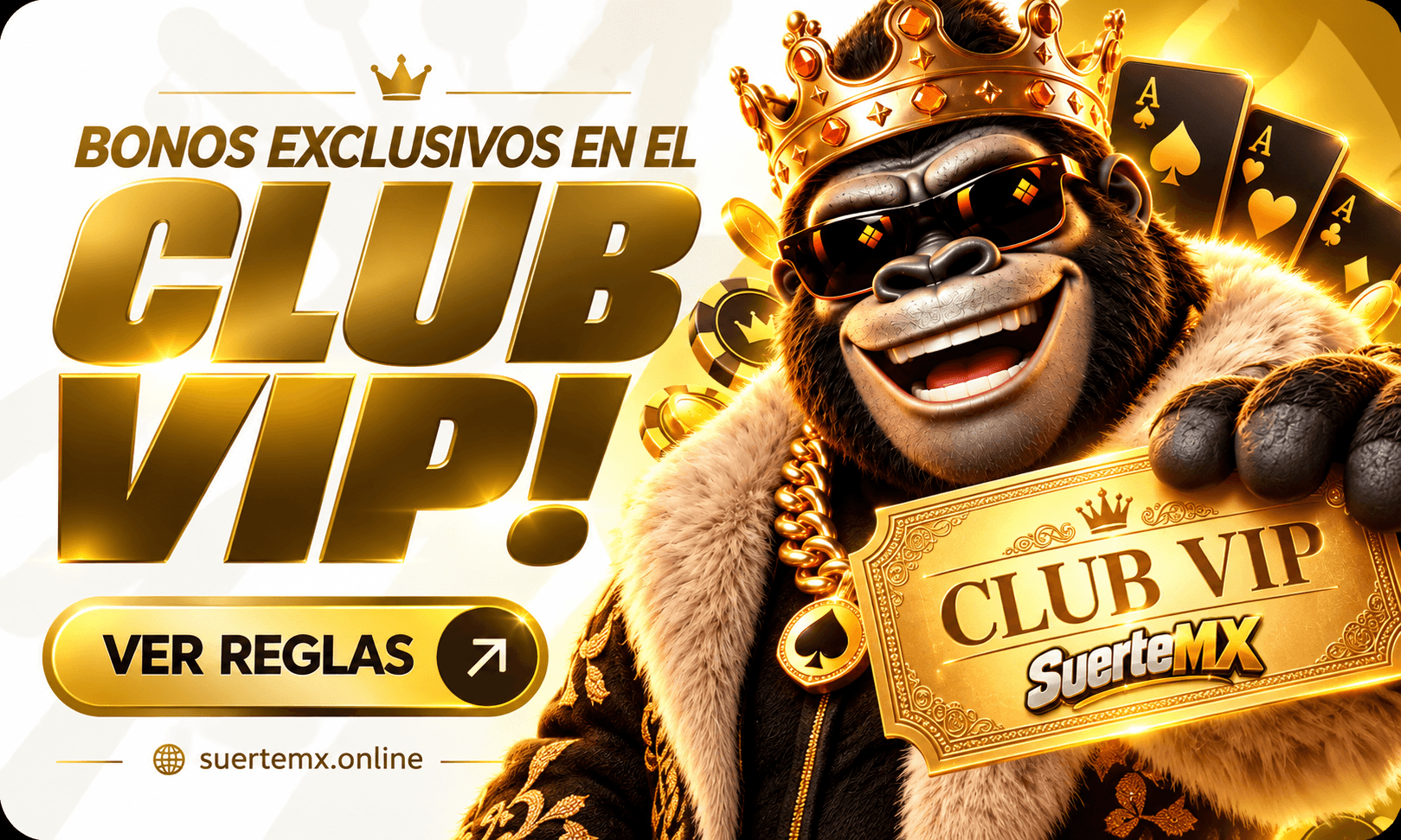 Bonos exclusivos en el Club VIP